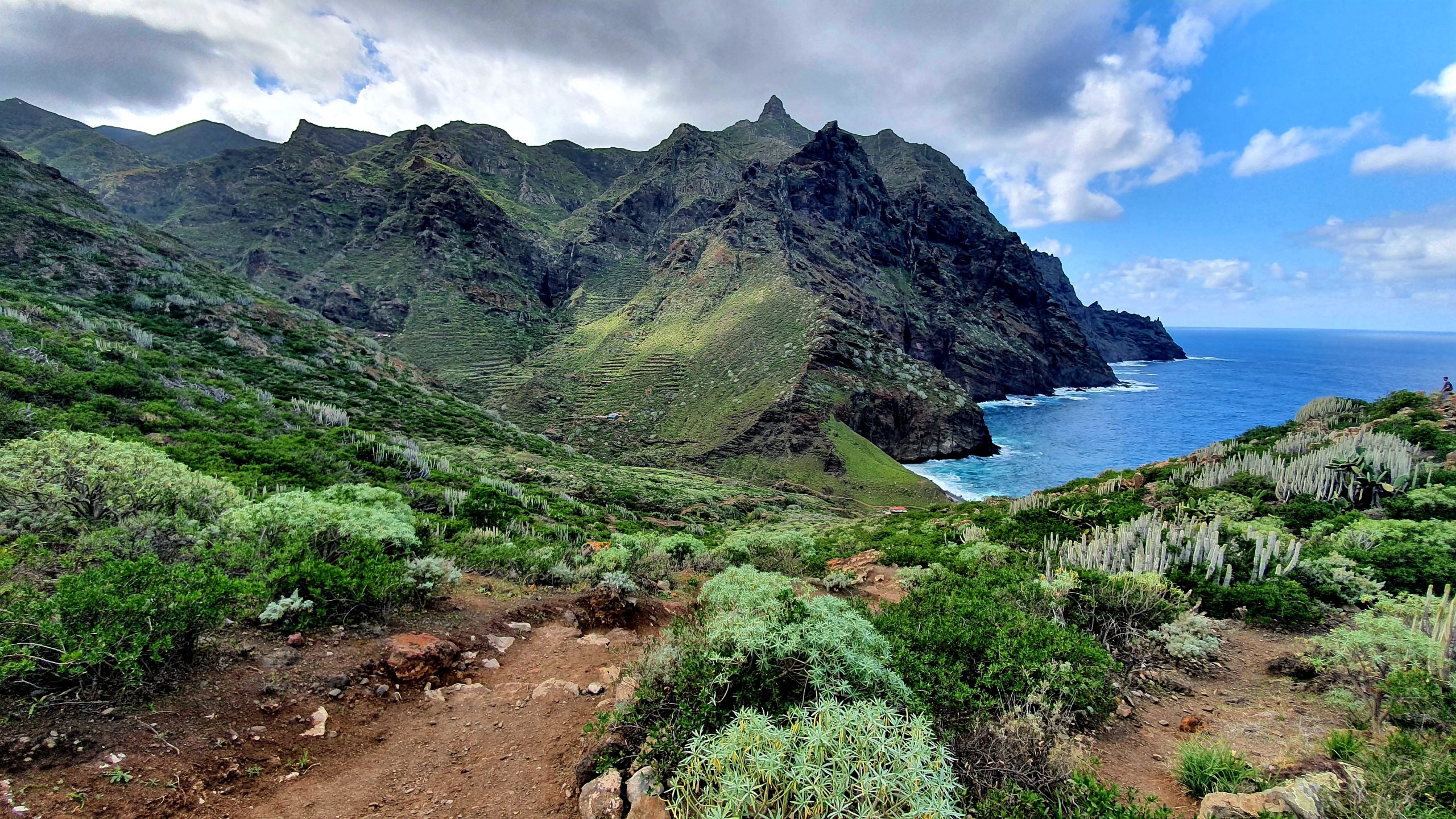 You are currently viewing TENERIFE (ISLAS CANARIAS)