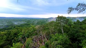 Lire la suite à propos de l’article GUATEMALA – LE MAYA TREK (De EL ZOTZ à TIKAL)