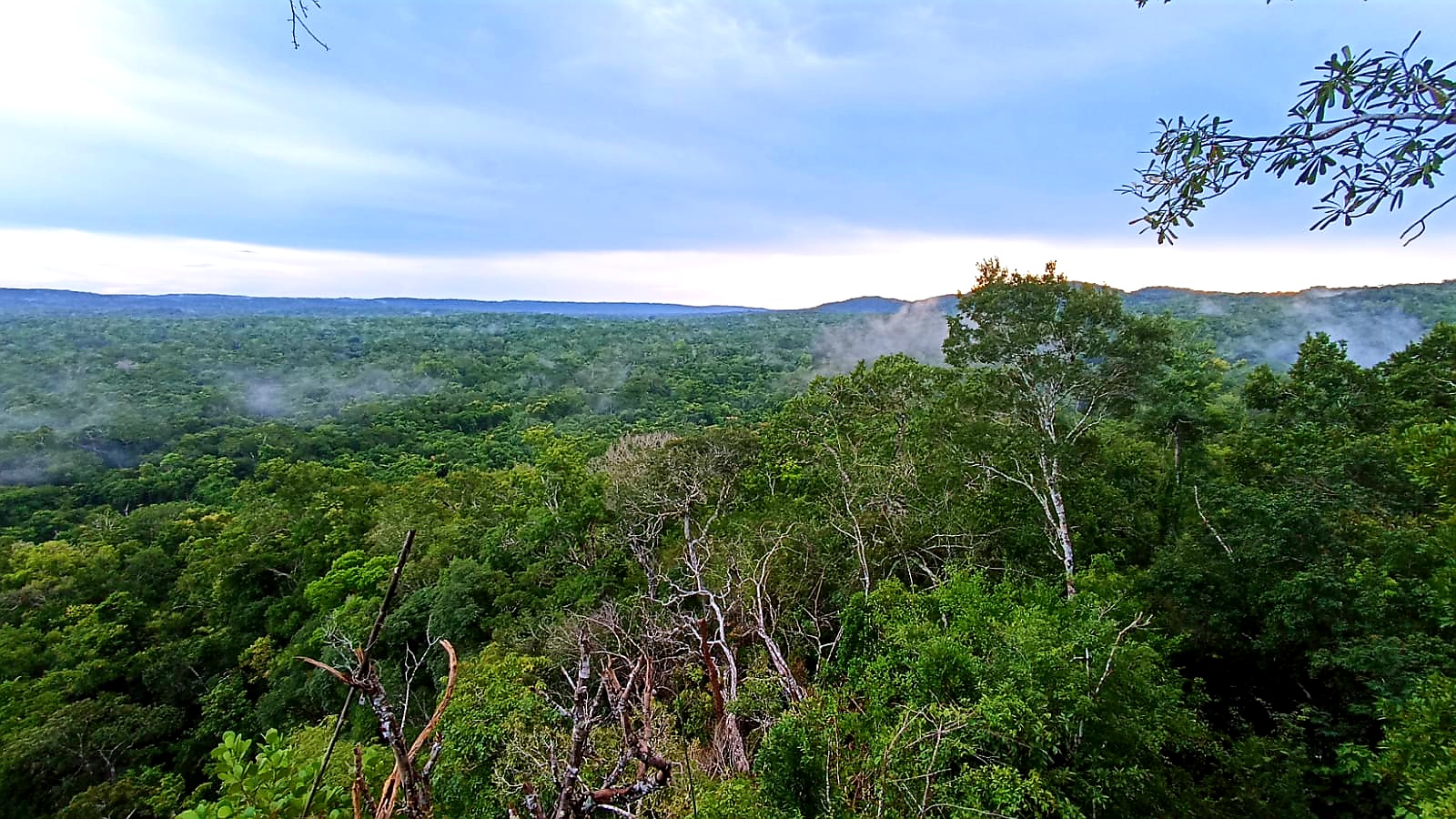 You are currently viewing GUATEMALA – LE MAYA TREK (De EL ZOTZ à TIKAL)